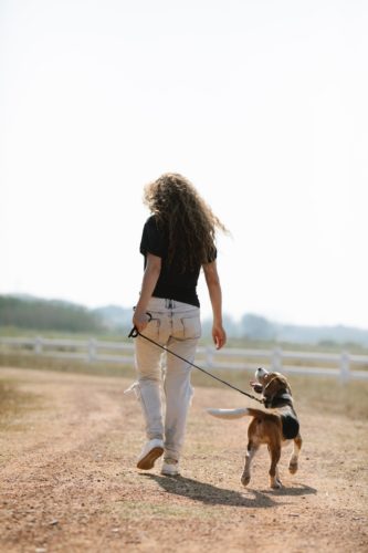 unrecognizable female owner walking with dog in countryside